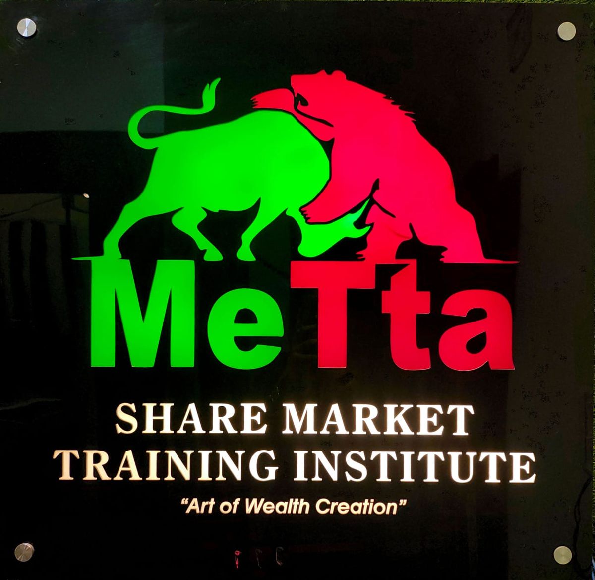 Metta Financial Investment & Trading Training Institute logo